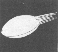 flying saucer 1955