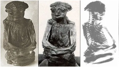 The Mystery of the San Pedro Mountains Mummy. Is it an alien?