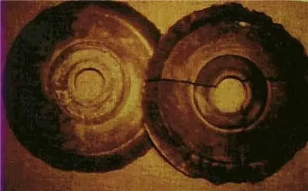 The Dropa Stone Discs - non-human element
