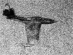 Image of Moncla's plane taken by sonar