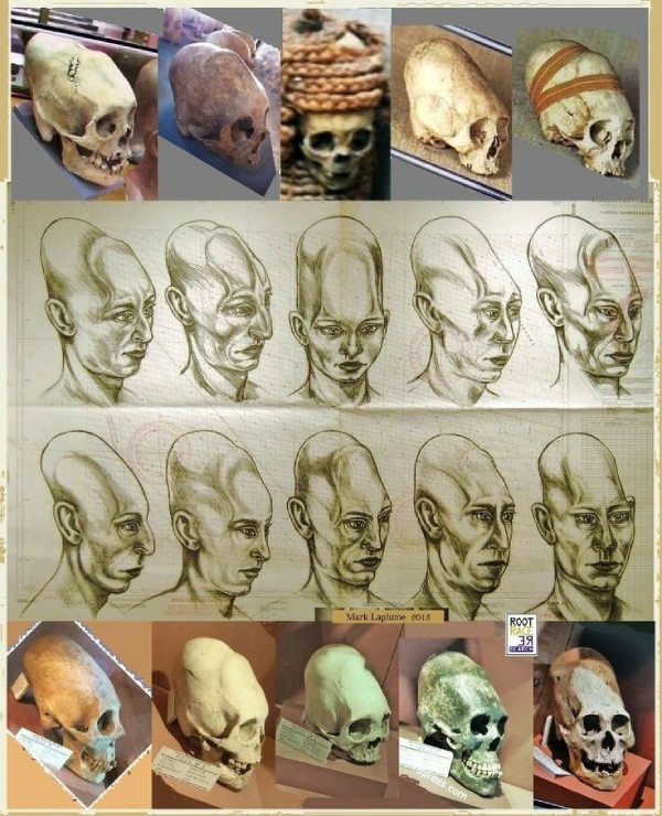 alien skulls