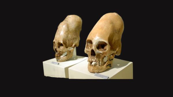 Peru skulls