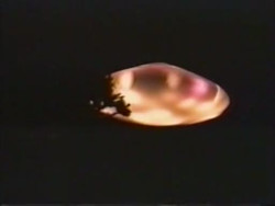 Leaked UFO photo