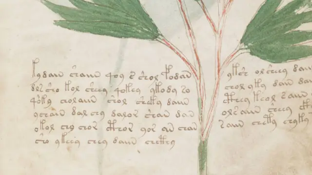 Text in the Voynich Manuscript (digitized)