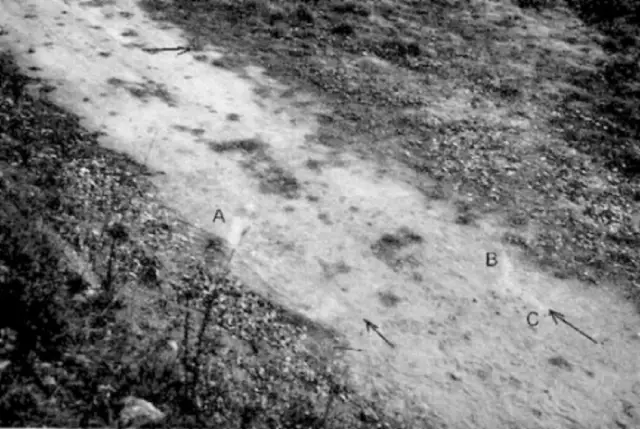 Footprints at the landing site after 40 days