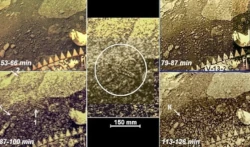 Someone's structures have been spotted on Venus
