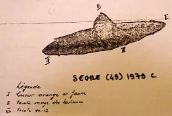 The French space agency has released information about UFOs. 600 cases over 64 years