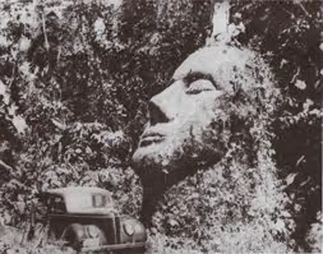 The Guatemalan Stone Head