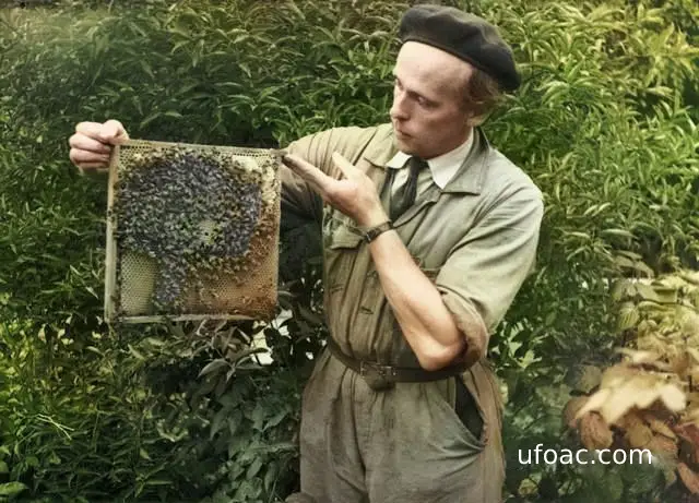 How a Swedish beekeeper met aliens