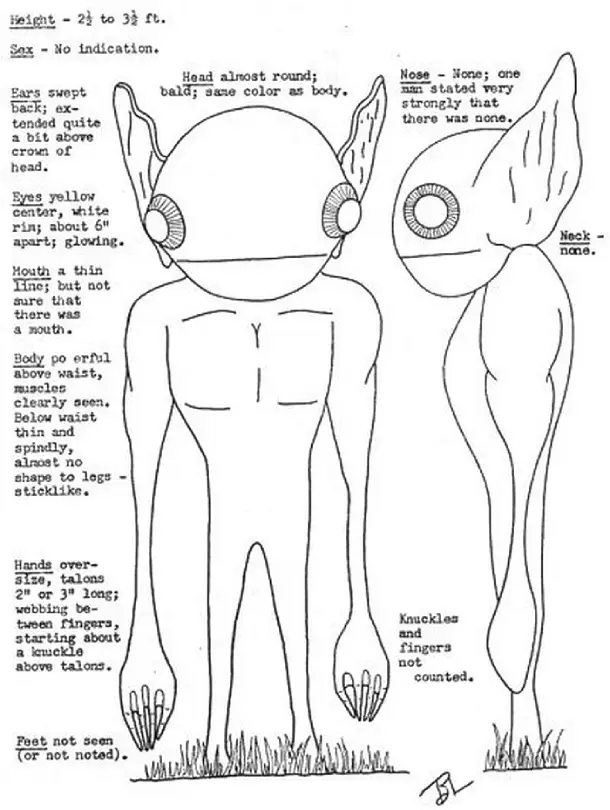 Detailed scheme of alien